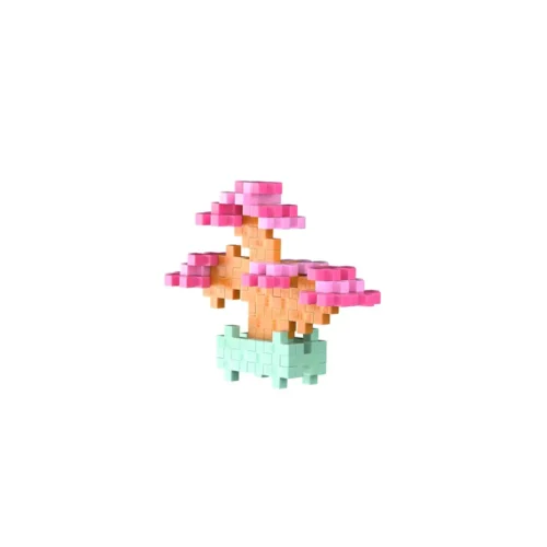 Pop Plantes - Bonsaï Rose
