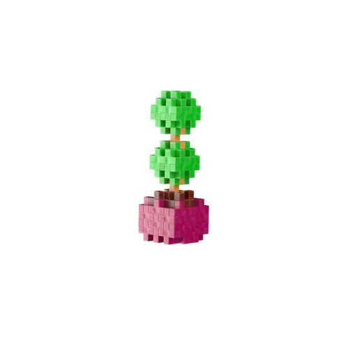 Pop Plantes - Buis