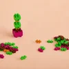 Pop Plantes - Buis – Image 3