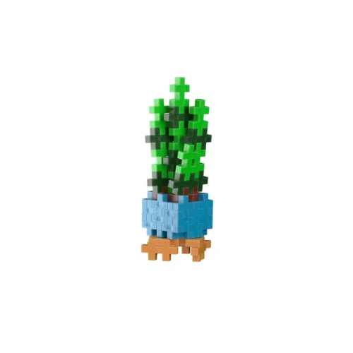 Pop Plantes - Succulente