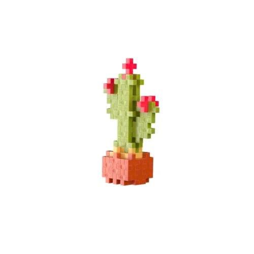 Pop Plantes - Cactus
