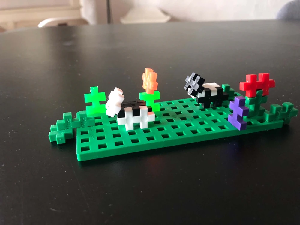 Champs-Minecraft-nino-jules-8et4ans