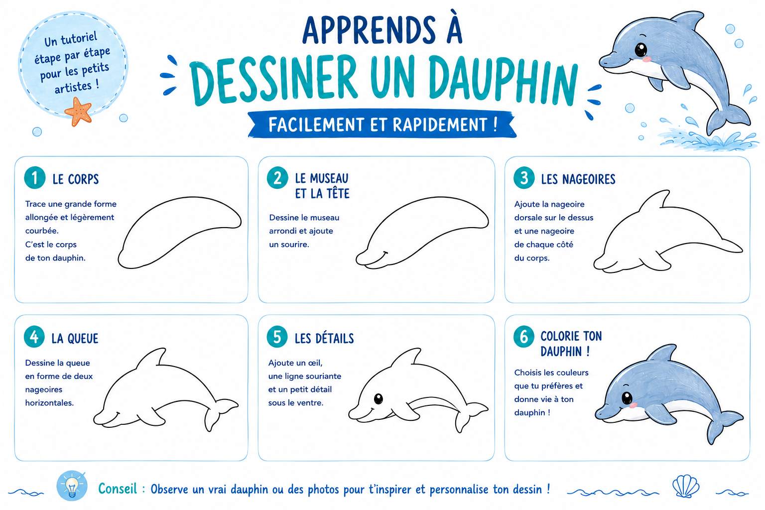 Article apprends à dessiner un dauphin dessiner un dauphin avec Plus Plus
