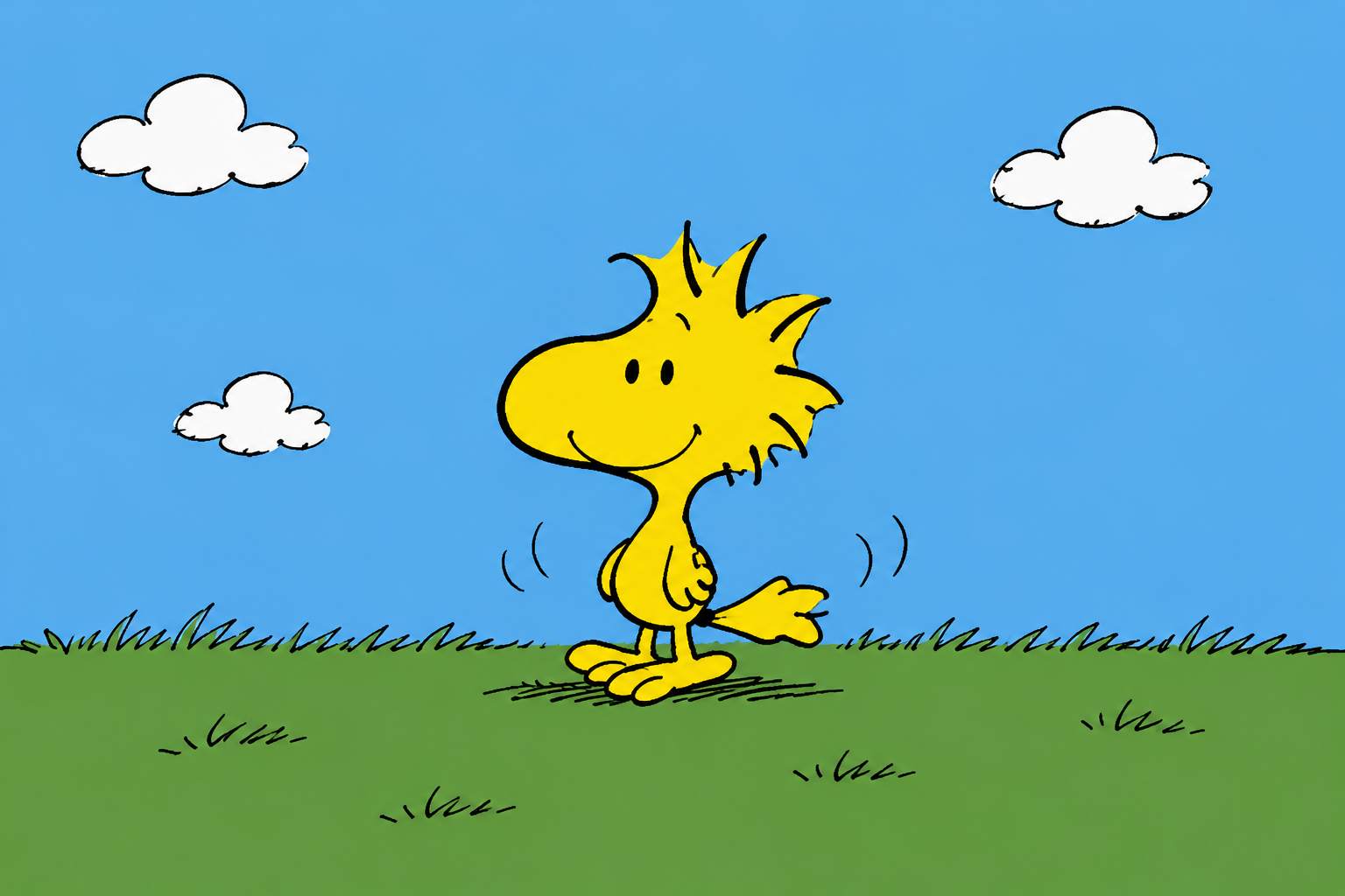 Woodstock Plus Plus Woodstock Plus Plus
